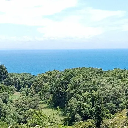 Amazona And Lägenhetshotell Spartia (Kefalonia)