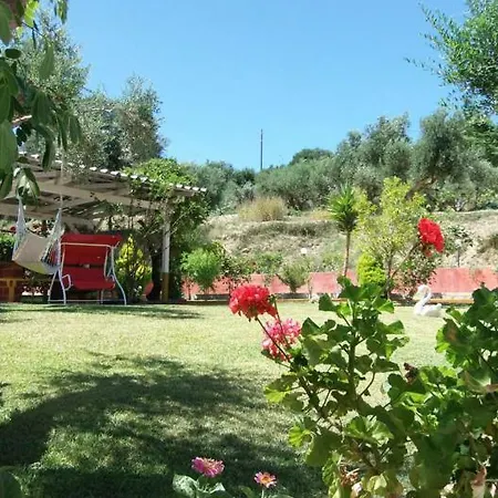 Amazona And Lägenhetshotell Spartia (Kefalonia)