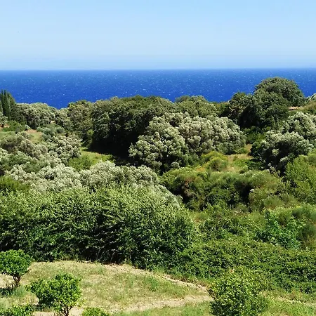 Amazona And Lägenhetshotell
