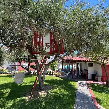 Amazona And スパルティア